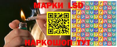 прущие грибы Северобайкальск