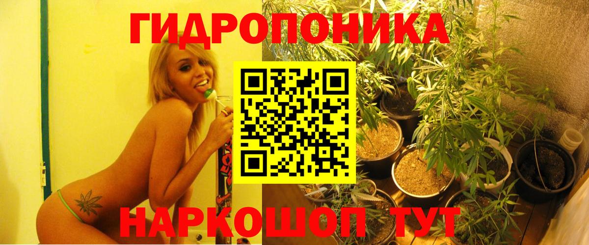 Бошки марихуана сатива  Конопля Ganja  Конопля индика  Вход с VPN  Аша 